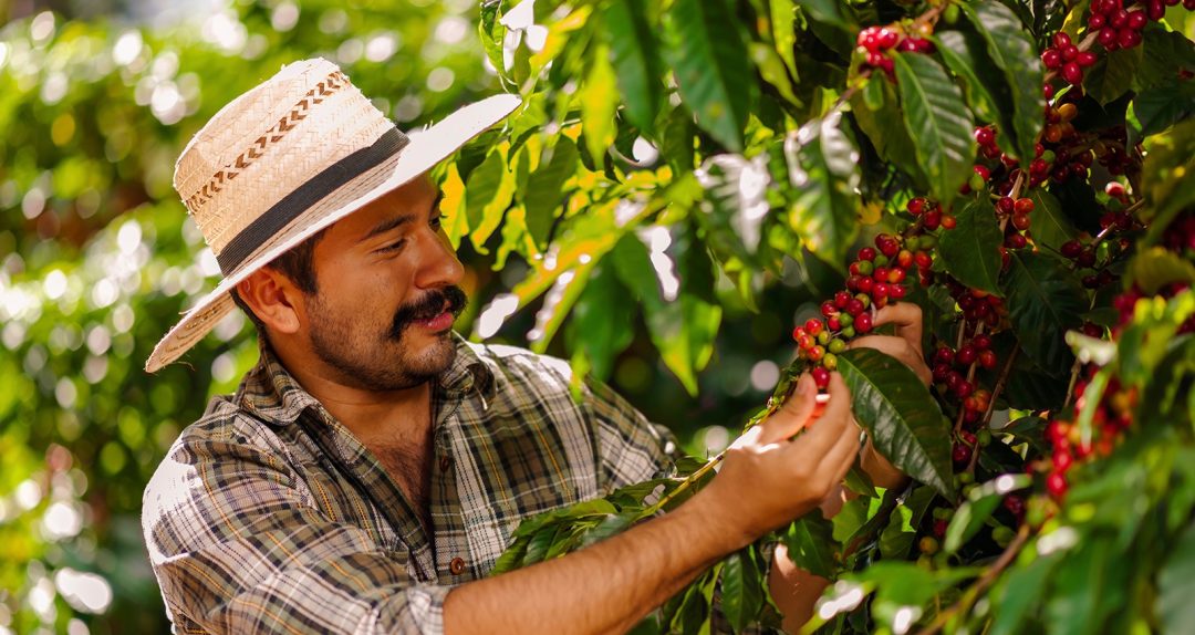 Colombia — Beyond the Headlines