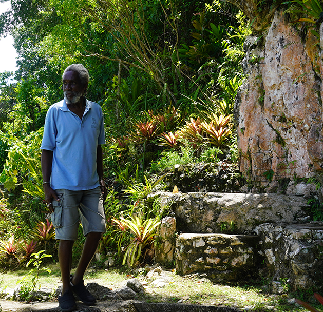 Discover Jamaica Beyond the Postcards