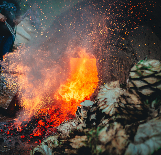 Roasting Agave for the best Tequila