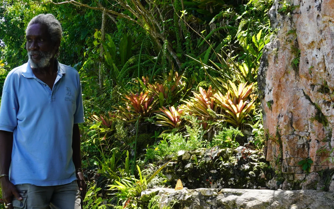 Discover Jamaica Beyond the Postcards
