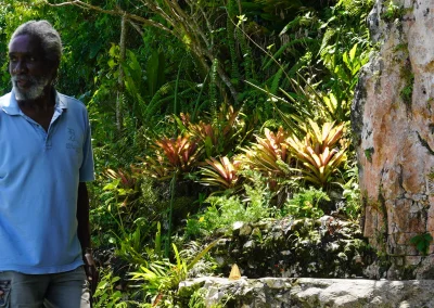Discover Jamaica Beyond the Postcards