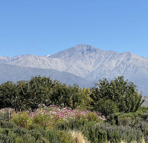 Uco Valley Argentina