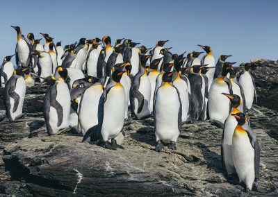 Antarctica