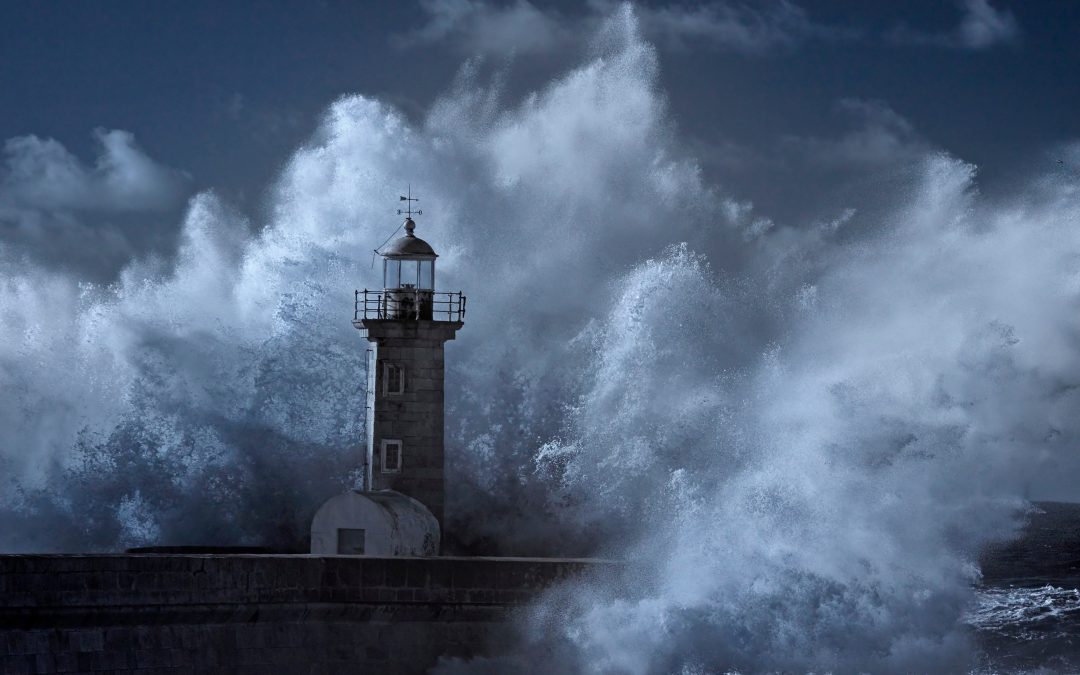 I AM – Portugal