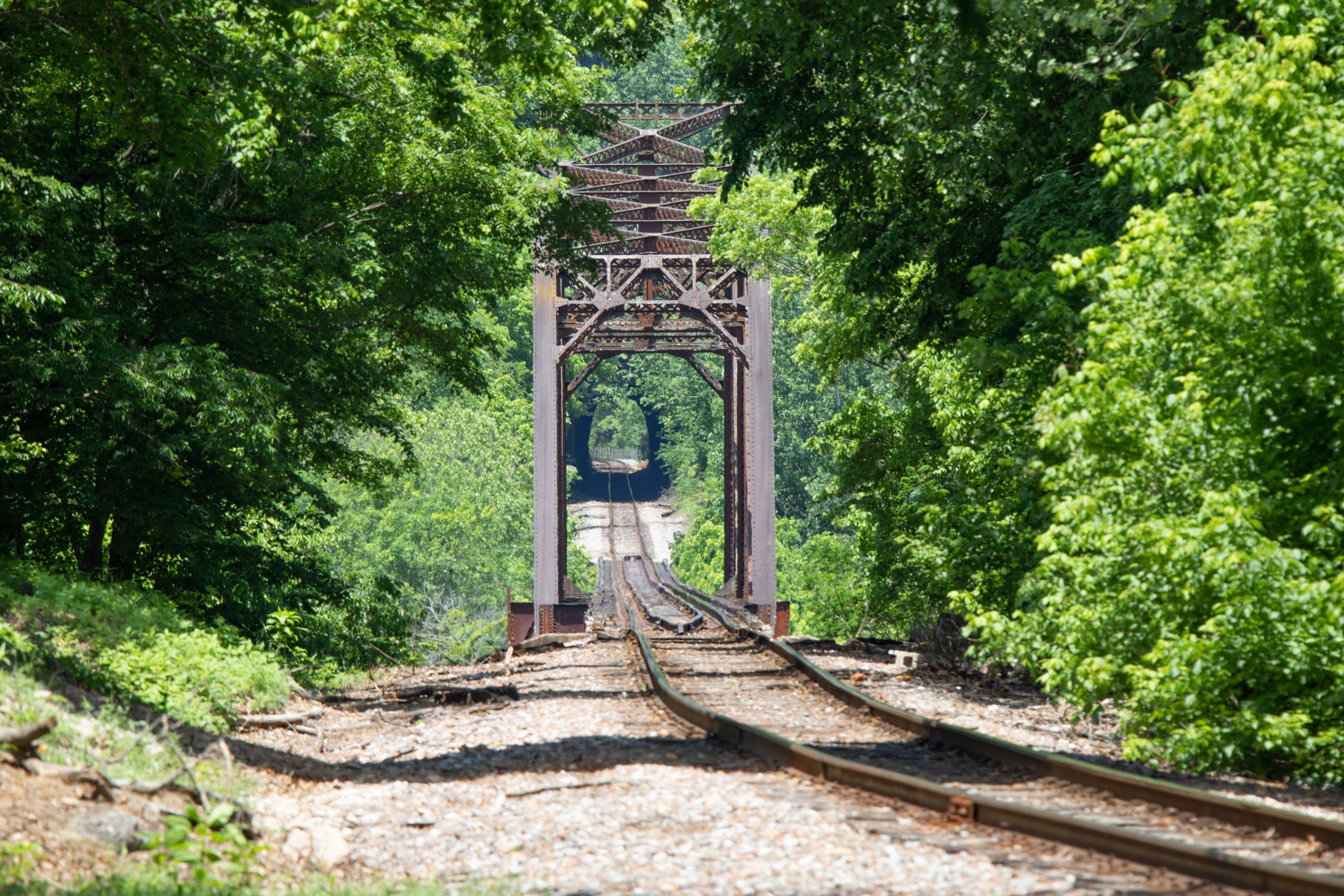 The Train To Grinder's Switch